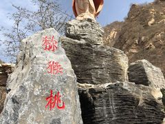 门面-大岭沟猕猴桃谷风景区
