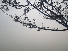 -幕燕滨江·长江观音景区