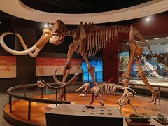 -国家自然博物馆