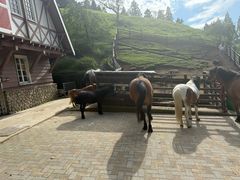 -神户市立六甲山牧场