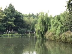 -圩墩遗址公园