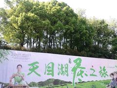 -天目湖山水园