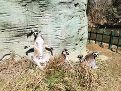-杭州野生动物世界