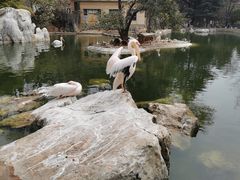 -昆明动物园