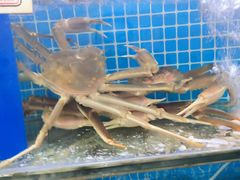 -晶渔坊·海鲜私房菜(东夷小镇店)