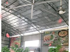 -石岐乳鸽村(桥观坊南四巷店)