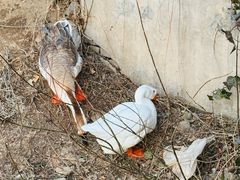 -西安汉城湖景区