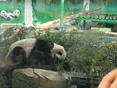-天津市动物园