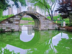 -青枫公园