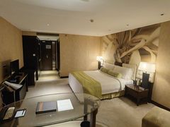 -国家会议中心大酒店
