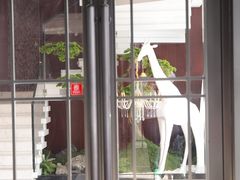 -古莲·影院足道·按摩SPA(水上温泉店)