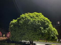 -桂林灵渠景区