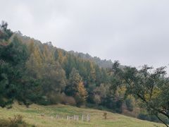 -官滩沟风景区