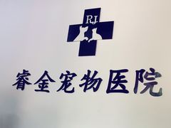 -睿金宠物医院·CT·肿瘤·骨外科