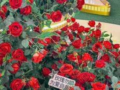 -沈阳铁西万象汇
