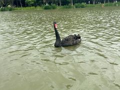 -昆山城市生态森林公园