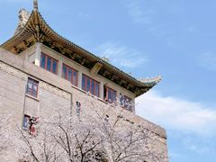 -武汉大学-樱园