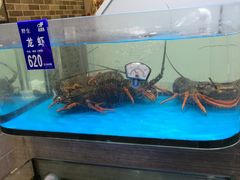 -金海湾海鲜总店