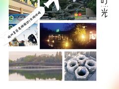 -杭州少年儿童公园