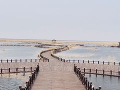 -南大港湿地风景区