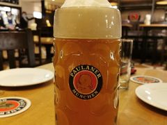-普拉那啤酒坊Paulaner(凯宾斯基饭店)