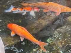 -香港海洋公园