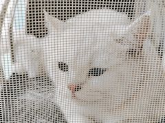 -美联众合24小时·皮肤科·外科·全科诊疗中心(华苑分院)