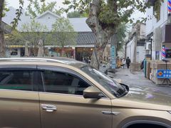 -麻雀咖啡SPARROW COFFEE(十全街店)