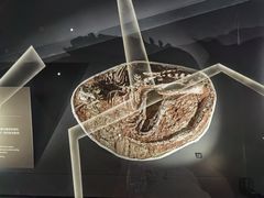 -香港科学馆