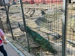 -河北村民俗体验园