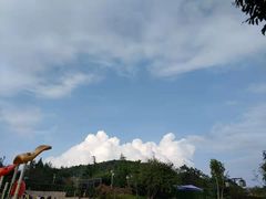 -铁山坪森林公园