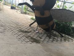 -庞各庄翠芳园西瓜蔬菜基地采摘园