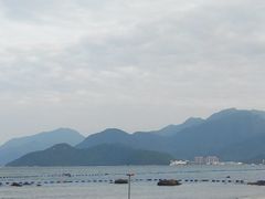 -花海间·即刻露营