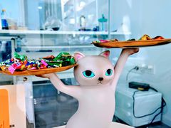 -爱洗澡的猫(望京店)