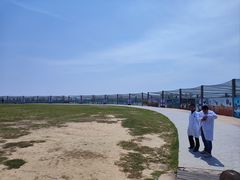 -盐城丹顶鹤湿地生态旅游区