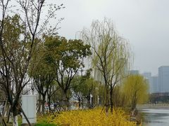 -南通濠河风景名胜区