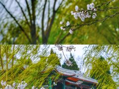 -陶然亭公园