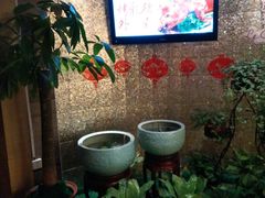 -阳光壹佰美爵酒店-绿洲西餐厅