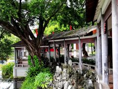 -荔湾湖公园