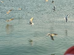 -云龙湖旅游景区