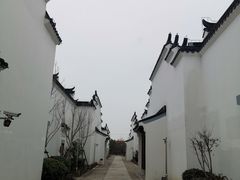 -Seesaw Coffee(上海尚悦湾店)