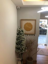 -THE LOG SALON 记录