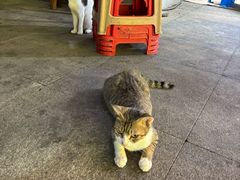 -万达广场(宝山店)