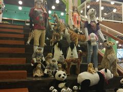 -Behring World of Animals(上海自然博物馆店)