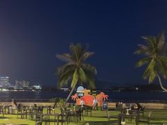-JW万豪厨房餐厅·滨海草坪烧烤·海鲜·海景(三亚绿发山海天JW万豪酒店)