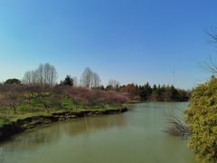 -上海海湾国家森林公园