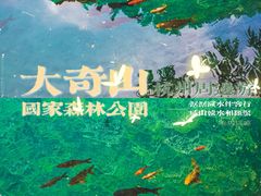 -大奇山国家森林公园