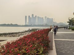 -深圳湾公园(南山区)