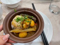 -食神鱼头佛跳墙(百子湾旗舰店)