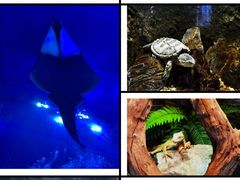 -成都浩海立方海洋公园